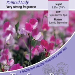 Sweet Pea 'Painted Lady'(Lathyrus) HA - Highly Scented
