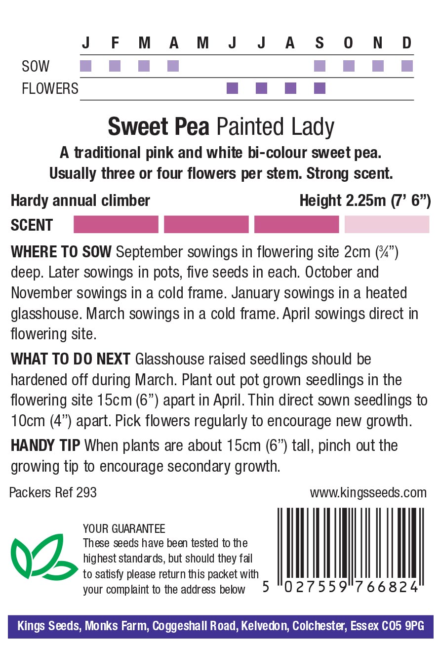 Sweet Pea 'Painted Lady'(Lathyrus) HA - Highly Scented - Image 2
