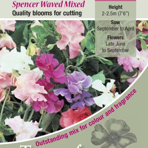 Sweet Pea Spencer Wave Mixed - HA