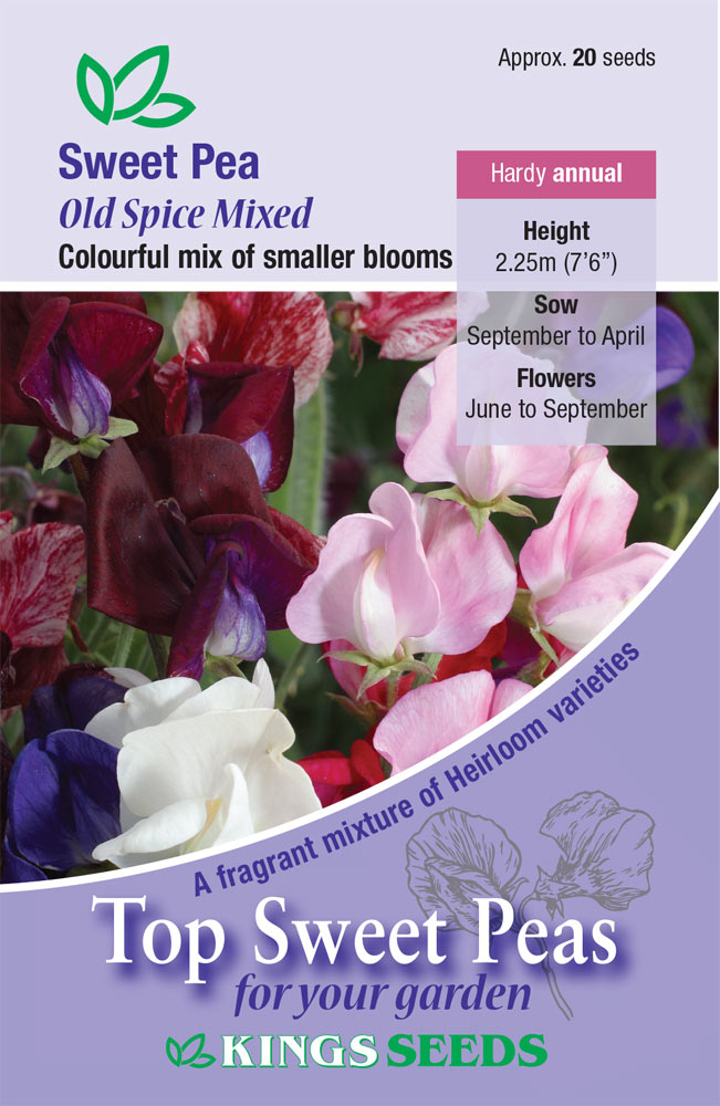 Sweet Pea 'Old Spice Mixed'(Lathyrus) HA - Highly Scented