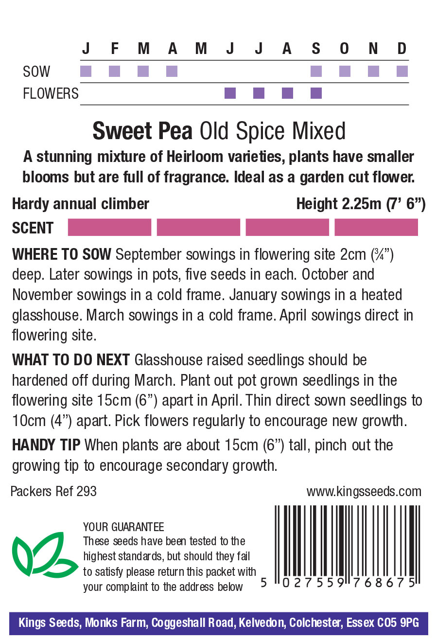 Sweet Pea 'Old Spice Mixed'(Lathyrus) HA - Highly Scented - Image 2