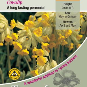 Wild Flower - Cowslip (Primula veris) - HP