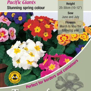 Polyanthus Pacific Giants F1 - HP