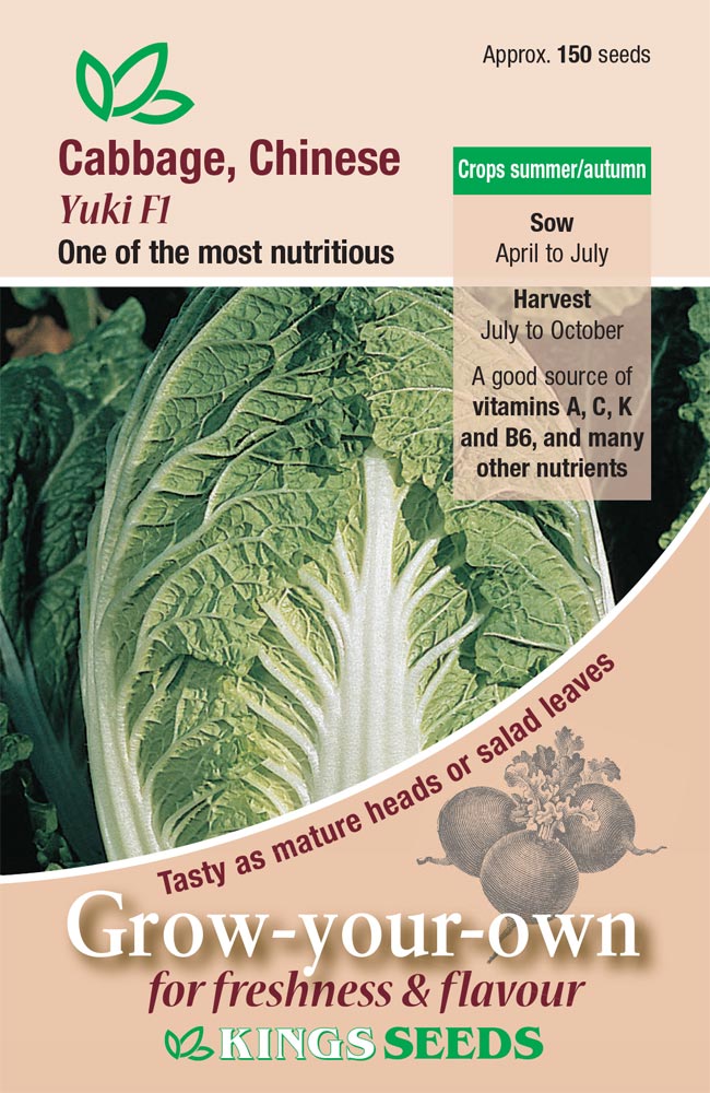 Cabbage - Chinese Yuki F1