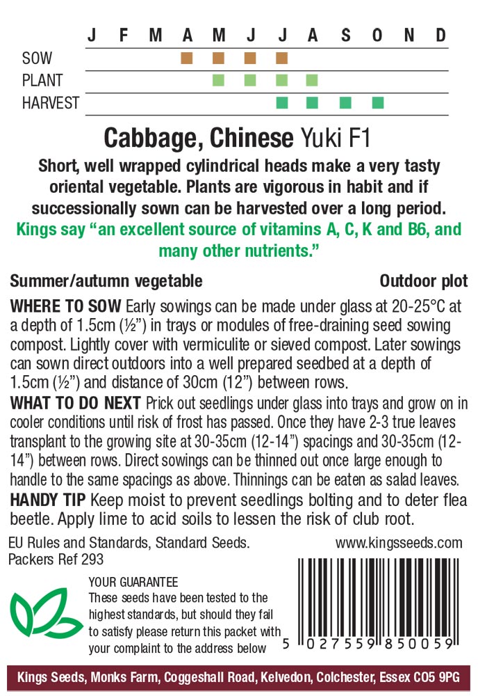 Cabbage - Chinese Yuki F1 - Image 2
