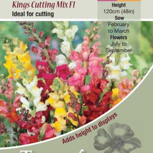 Antirrhinum 'Kings Cutting Mix F1' - HHA