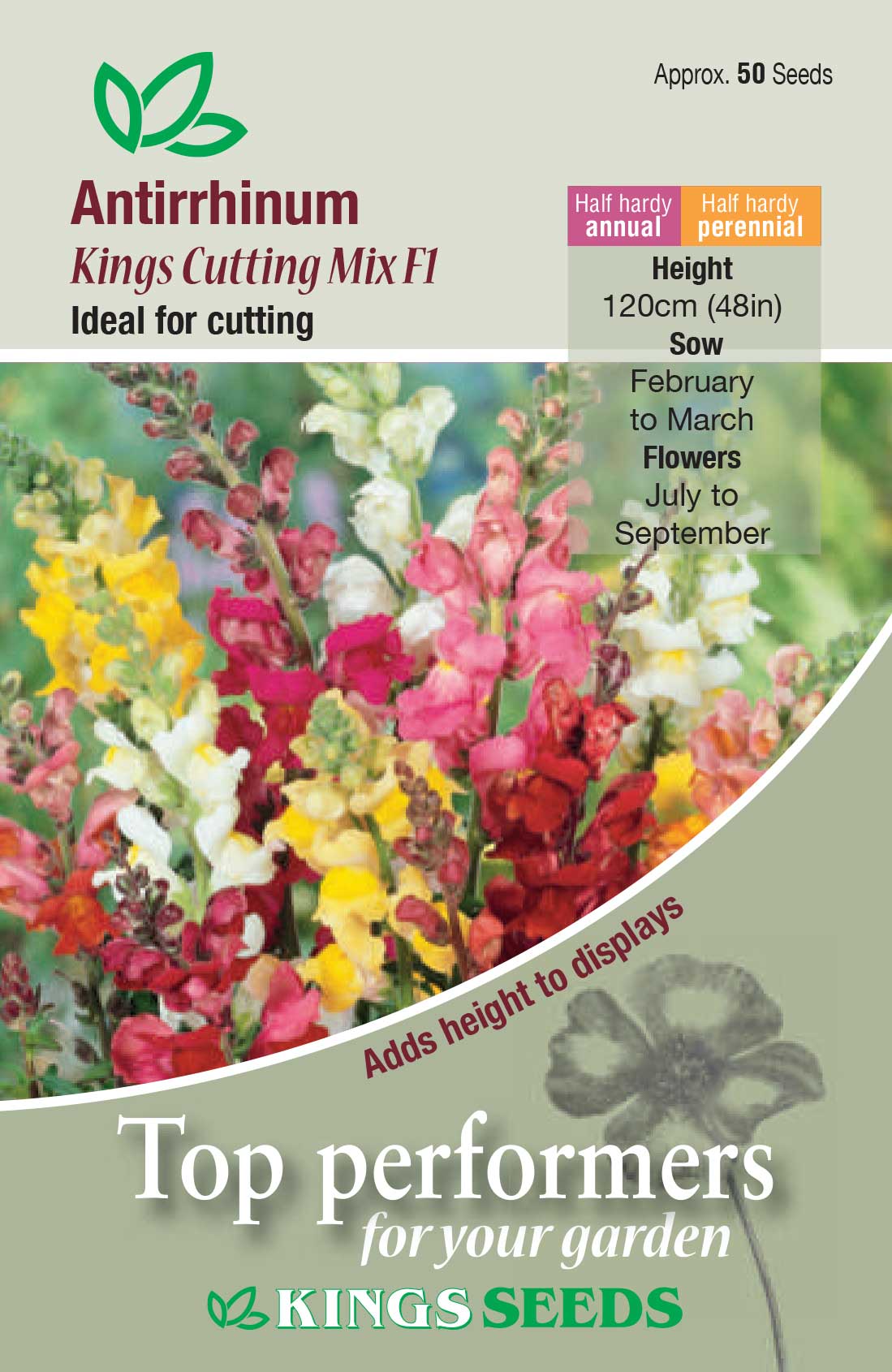 Antirrhinum 'Kings Cutting Mix F1' - HHA