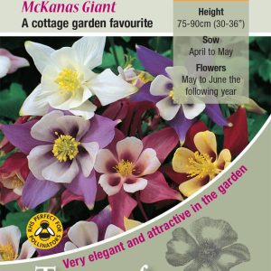 Aquilegia 'McKanas Giant' - HP