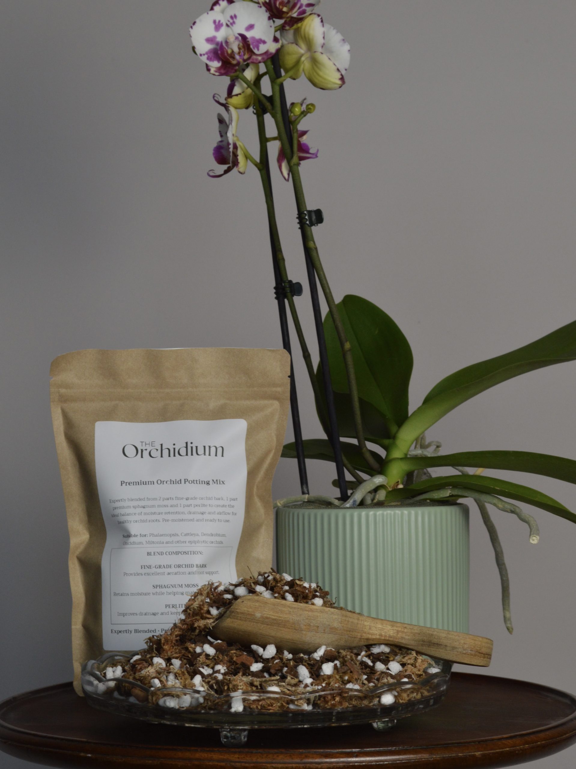 Single Orchid Repotting Mix | Pre-Mixed Orchid Bark, Moss & Perlite (140g) - Image 6